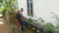 Polri dan Warga Bangun Ketahanan Pangan Lewat Pekarangan Rumah di Sekotong