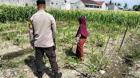 Bhabinkamtibmas Labuapi Dorong Pemanfaatan Lahan Demi Ketahanan Pangan