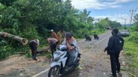 IMG-20251201-WA1655 Keselamatan Prioritas: Polsek Sekotong Amankan dan Bersihkan Pohon Tumbang